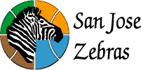 SJZebras